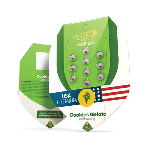 Graines Gelato Cookie Autofloraison