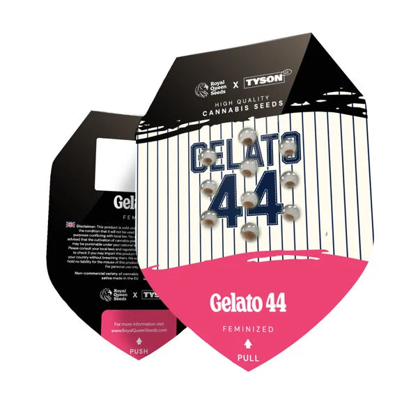 Graines Gelato 44 Mike Tyson