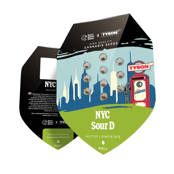 Graines NYC Sour D Auto Mike Tyson