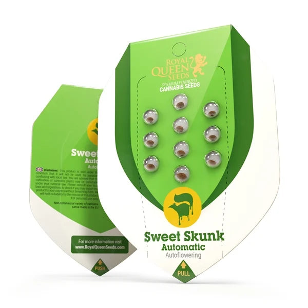 Graines Sweet Skunk Auto